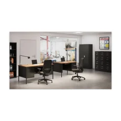 Alera 15 in. x 22 in. x 52 in. Letter-Size Four-Drawer Economy Vertical File - Black