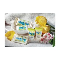 Beach Mist 0.65 oz. Shampoo - Fresh Scent (288/Carton)