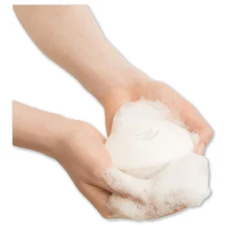 Dove 3.17 oz. Beauty Bar - Light Scent, White (12/Carton)