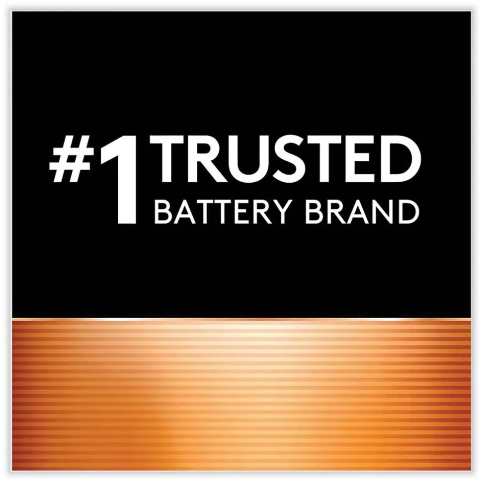 Duracell CopperTop Alkaline D Batteries (4/Pack)