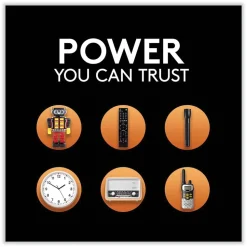 Duracell CopperTop Alkaline C Batteries (2/Pack)