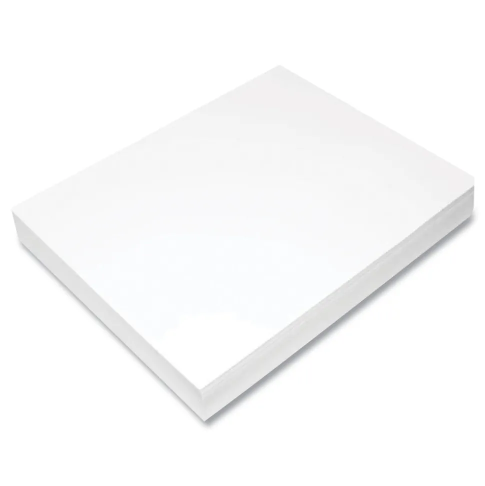 Epson 17 in. x 22 in. 10.5 mil Professional Media Metallic Gloss Photo Paper - White (50/Pack)
