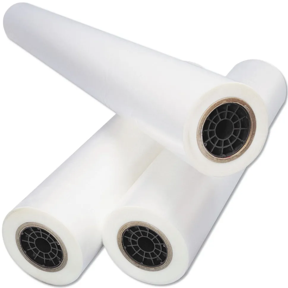 GBC NAP-Lam I 25 in. x 250 ft. 3 mil Roll Film - Gloss Clear (2/Box)