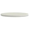 HON 36 in. Diameter Between Round Table Top - Silver Mesh