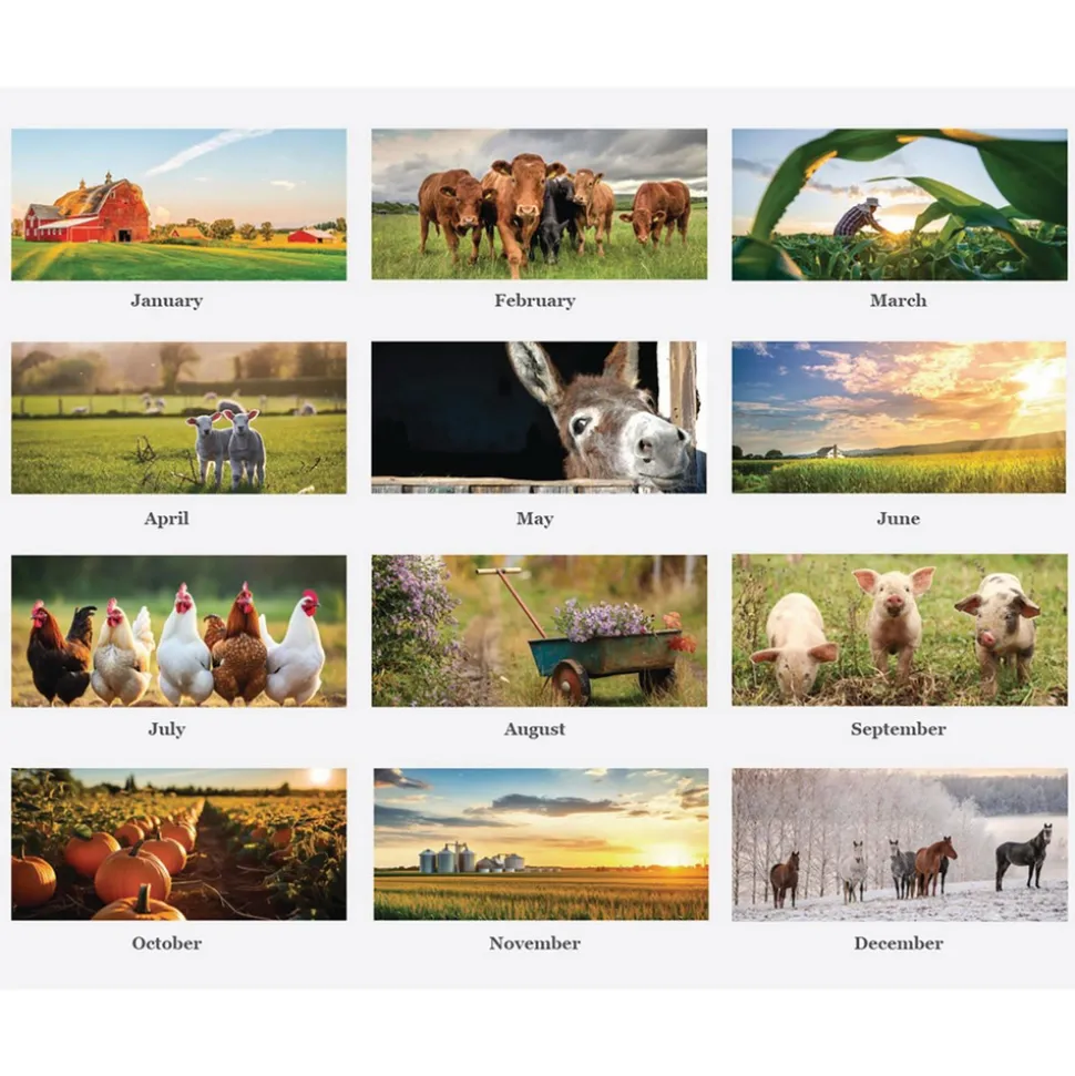 House of Doolittle 11 in. x 14 in. 12-Month (Jan-Dec 2026) 100 Percent Recycled Farm Life Wall Calendar - White/Multicolor Sheets