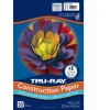 Pacon 9 in. x 12 in. 76 lbs. Text Weight Tru-Ray Construction Paper - White (50 Packs/Carton)