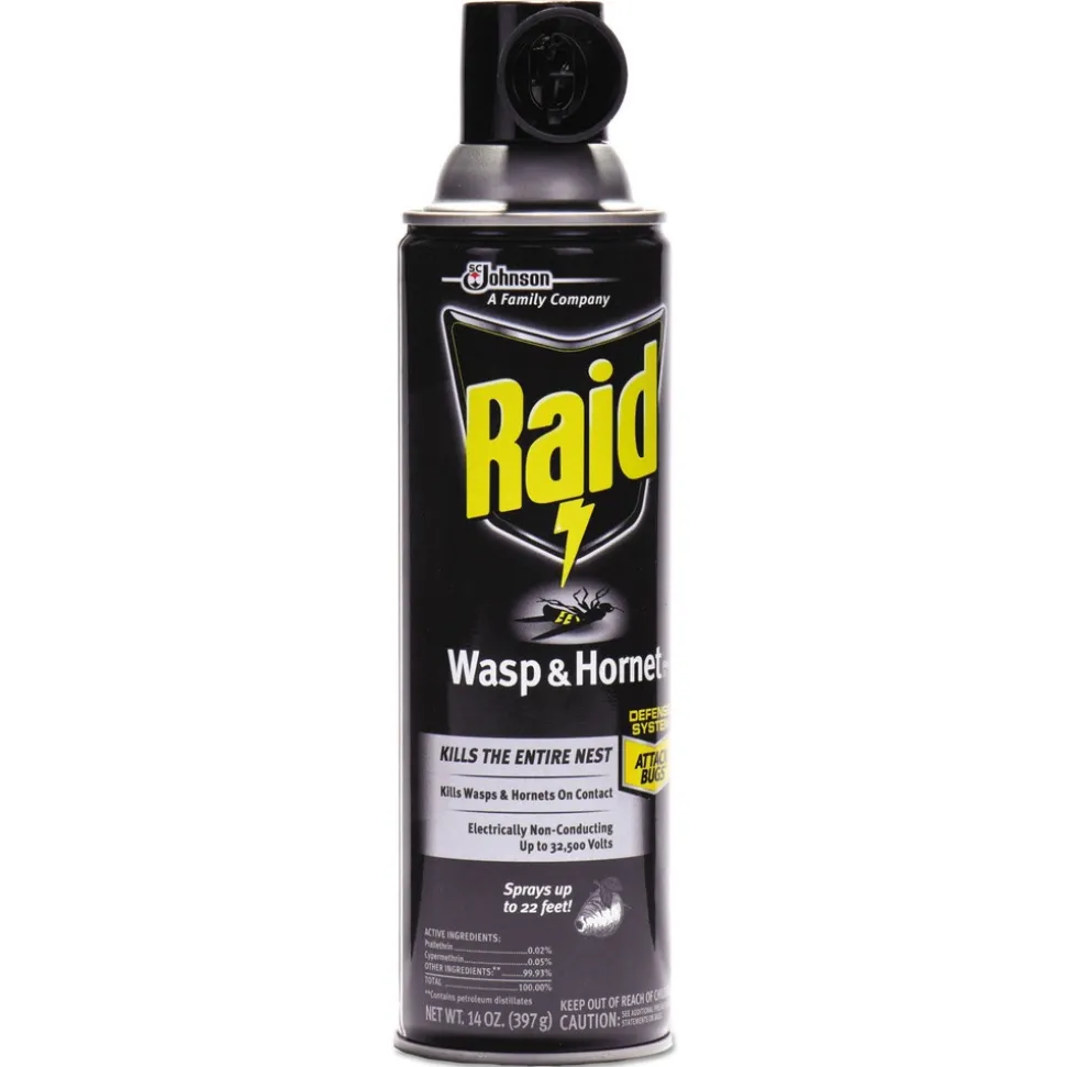 Raid 14-Ounce Wasp and Hornet Killer Spray (12/Carton)