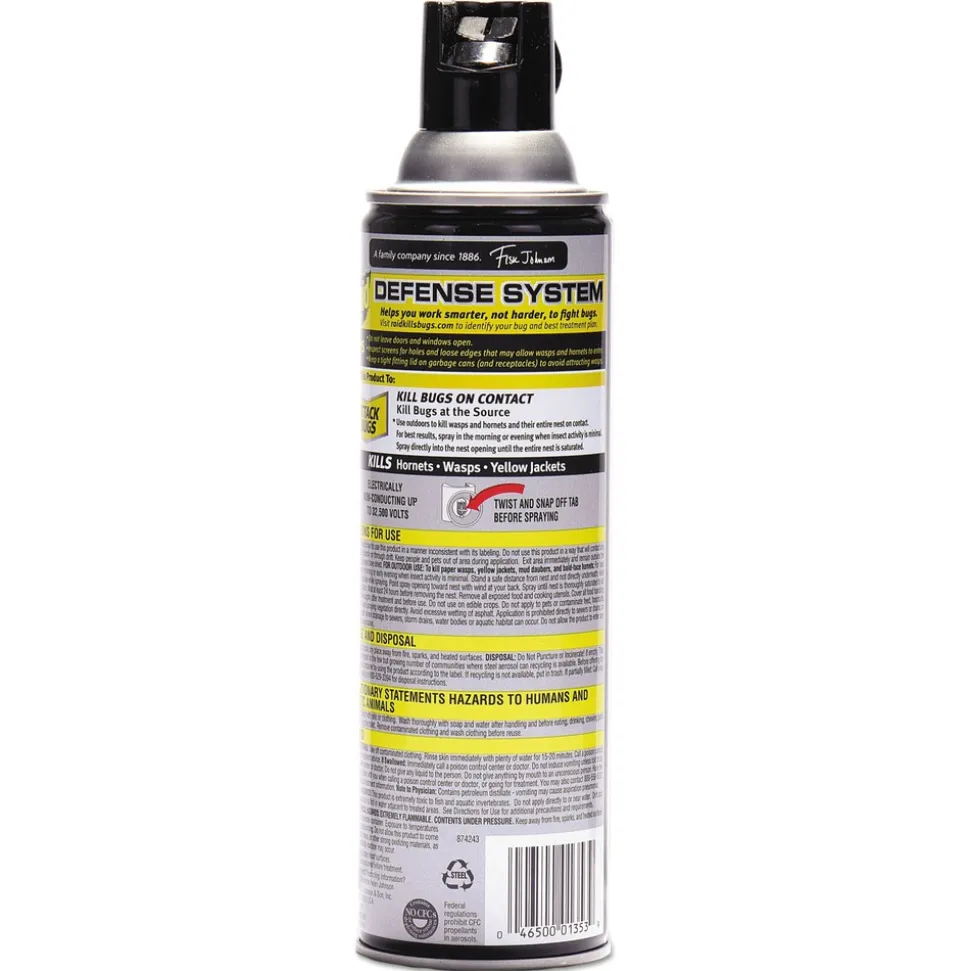 Raid 14 oz Wasp and Hornet Killer Aerosol Spray