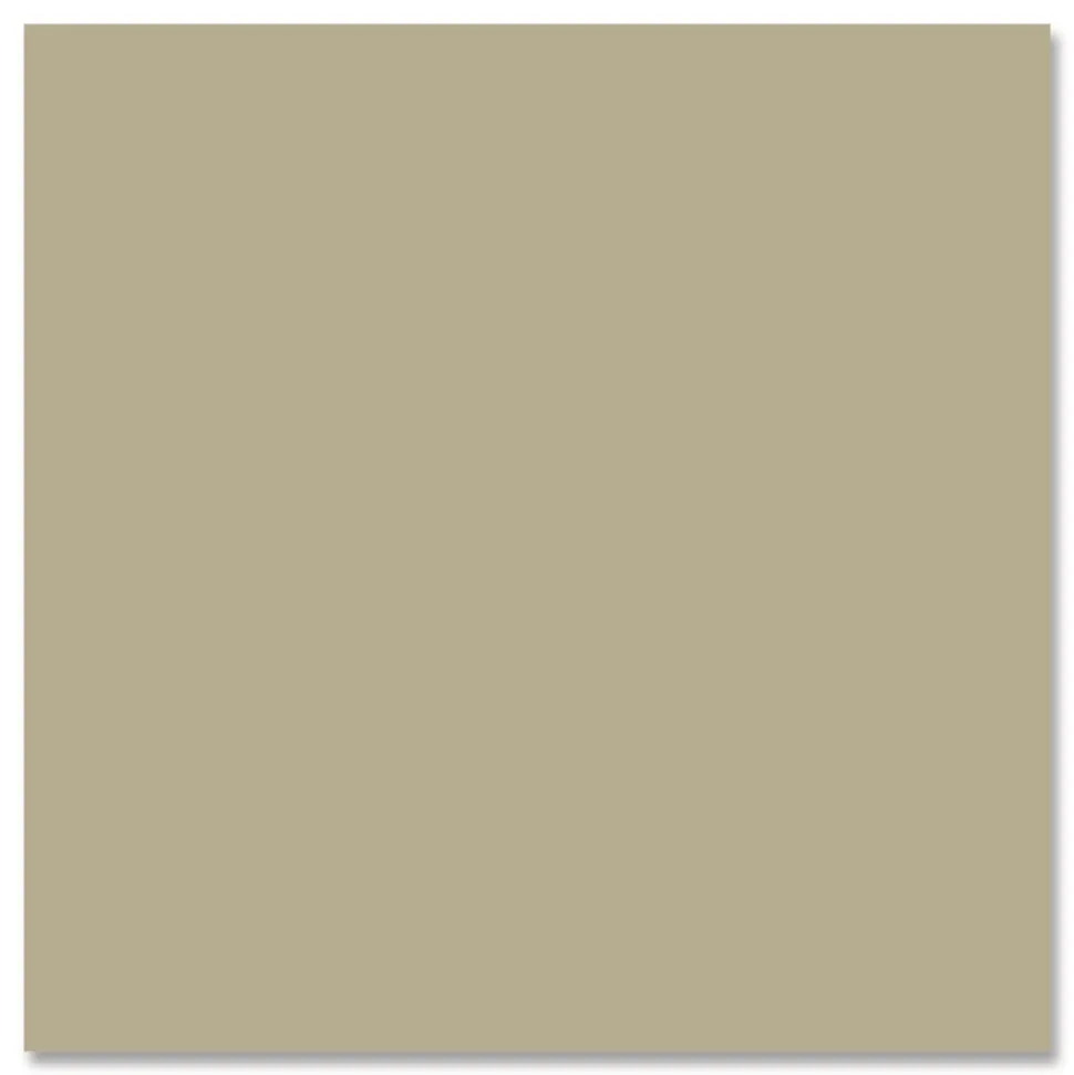 Rust-Oleum 12 oz. Aerosol Can Camouflage Spray Paint - Flat Sand