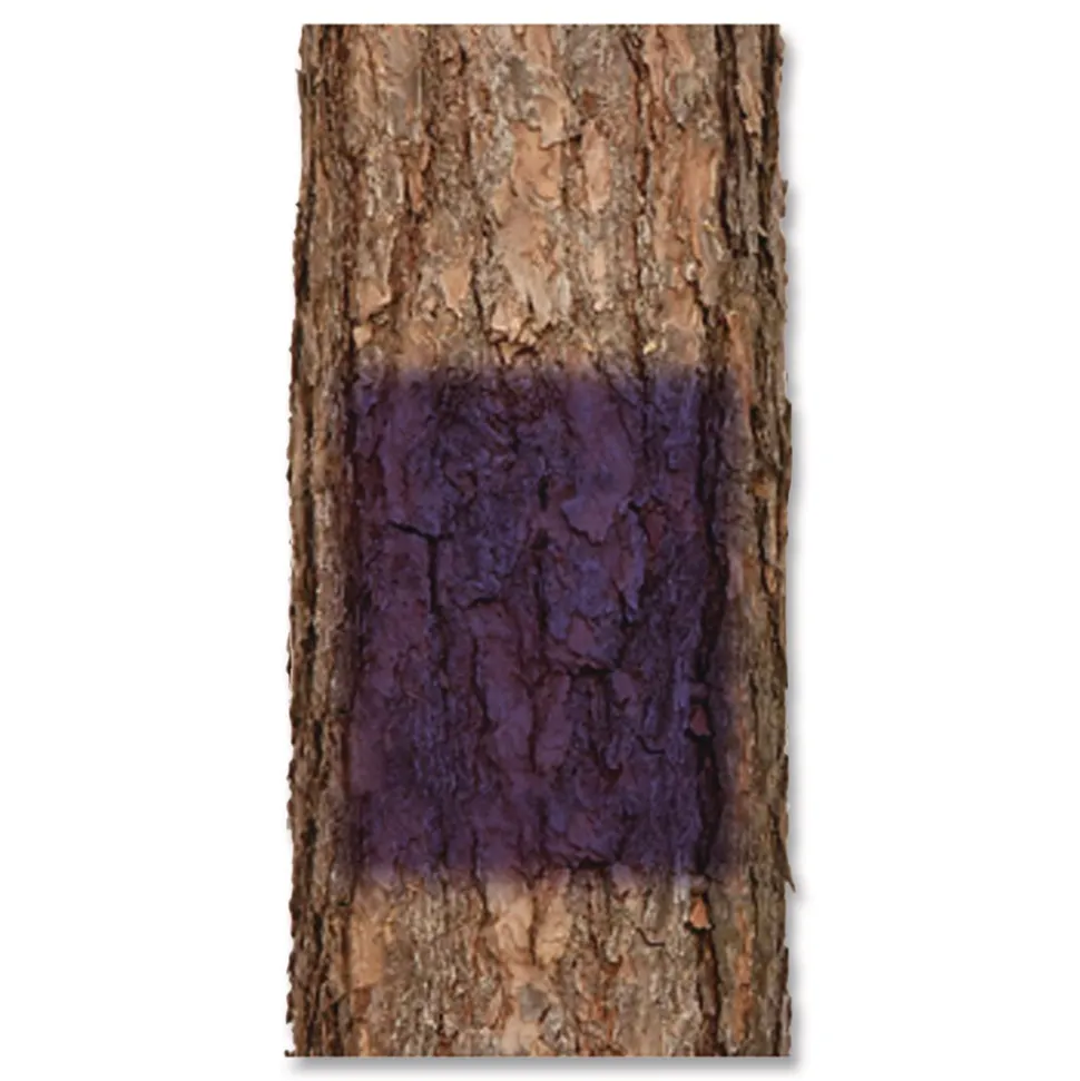 Rust-Oleum 12 oz. Aerosol Can Specialty No Hunting Spray Paint - Flat Purple (6/Carton)
