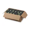 Stevia in the Raw 4480075050 2.5 oz. Packet Sweetener (600/Carton)