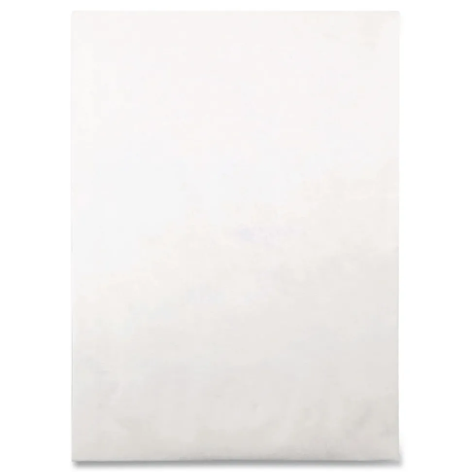 Survivor Tyvek 10 x 13 18 lb. Heavyweight Square Flap Open End Expansion Mailers - White (100/Carton)