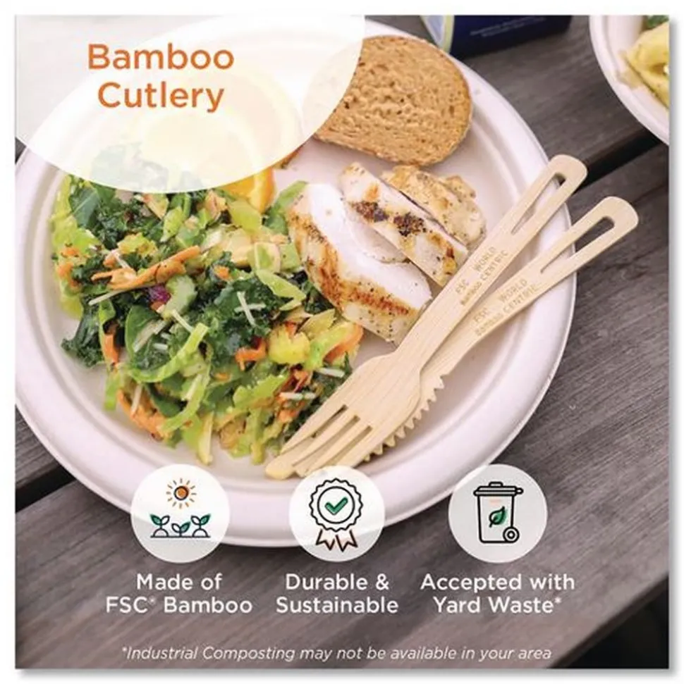 World Centric SP-BB-67 6.7 in. Bamboo Cutlery Spoon - Natural (2000/Carton)