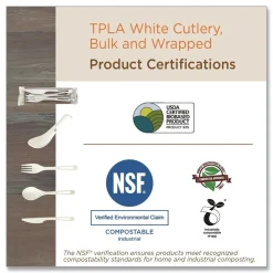 World Centric SP-TP-AS Plastic Asian Soup Spoon TPLA Compostable Cutlery - White (500/Carton)