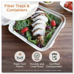 World Centric TO-SC-U9-LFP 9.2 in. x 9.1 in. x 3.2 in. Paper Fiber Hinged Containers - Natural (300/Carton)